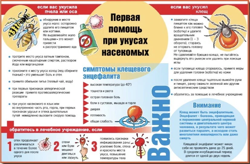 Консультация для родителей «Как уберечь детей от укусов насекомых»

Дорогие родители!

С наступление