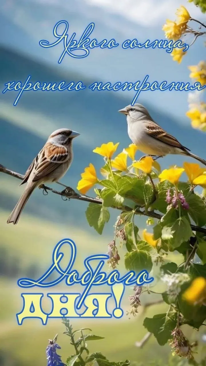 Доброго дня! 🌸