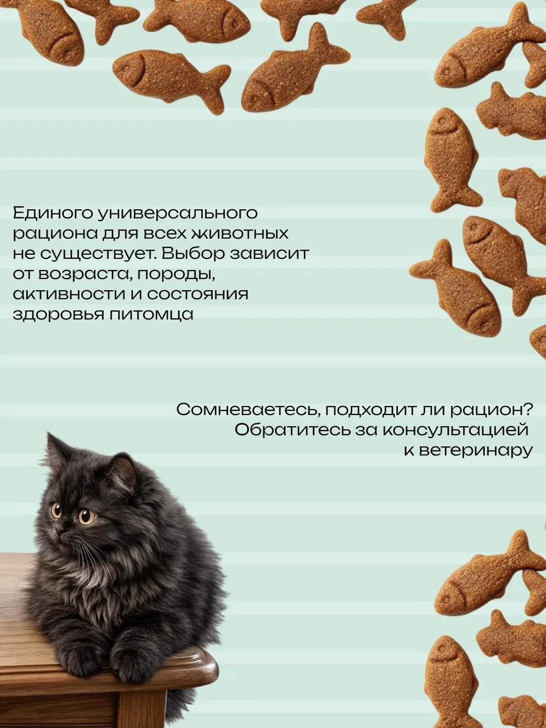 Натуральное питание или готовый корм — что лучше для питомца?