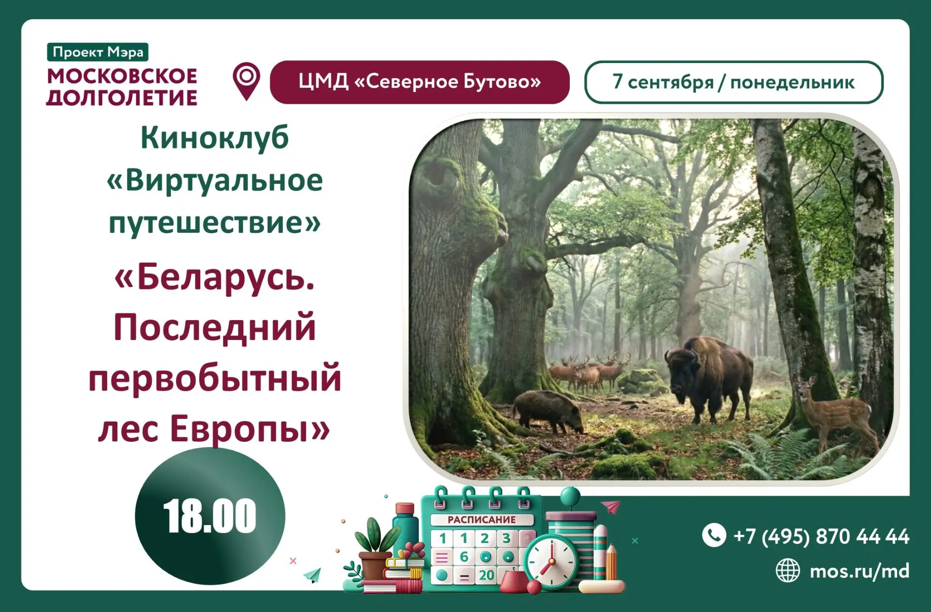 Дорогие друзья 🤗