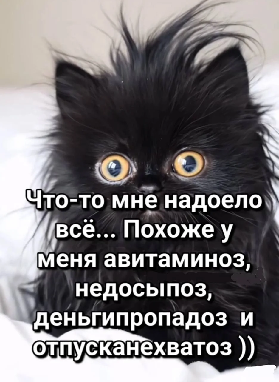 👉Юмористка