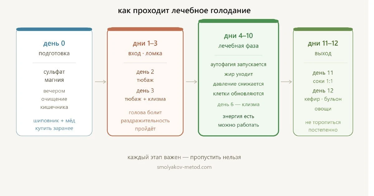 Лечебное голодание — как правильно делать