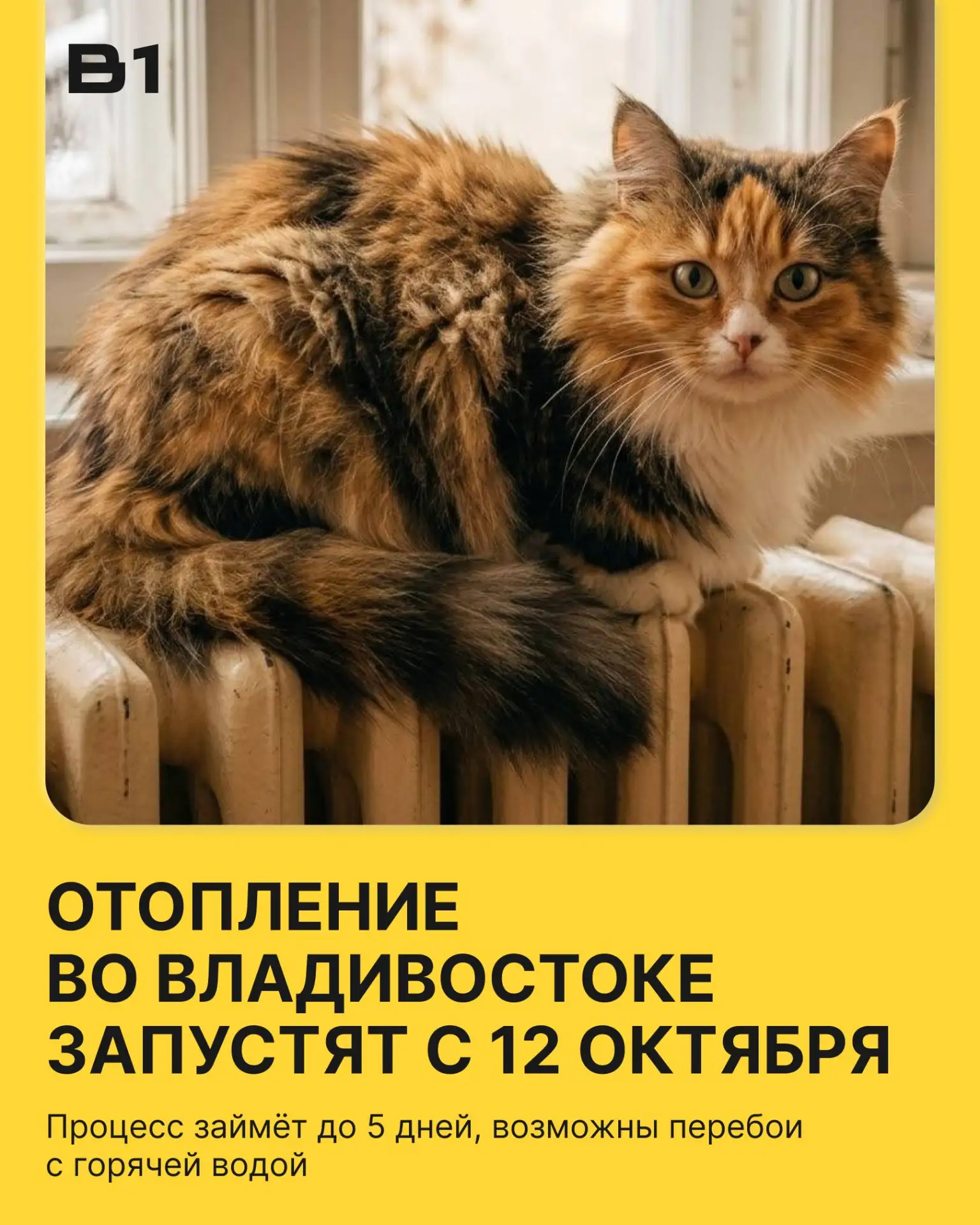 Отопление во Владивостоке дадут раньше, не дожидаясь пяти дней с температурой ниже +8°C.