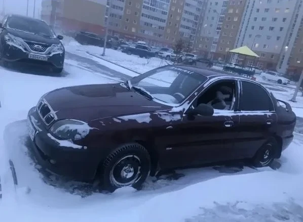 Новый трэнд .Открытые окна в машинах