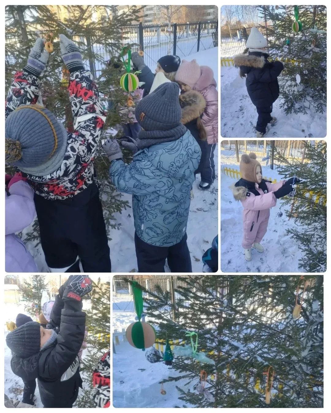 🎄✨ 16 декабря в нашем детском саду прошла удивительная экологическая акция "Экоёлка 20...