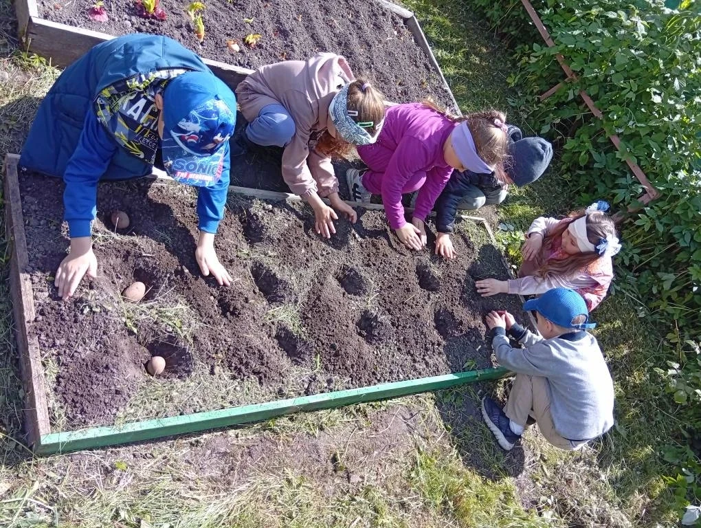 Огород дружно сажаем, много знаний получаем!
Летом огород – что город!
В нем сто тысяч горожан:
Поми