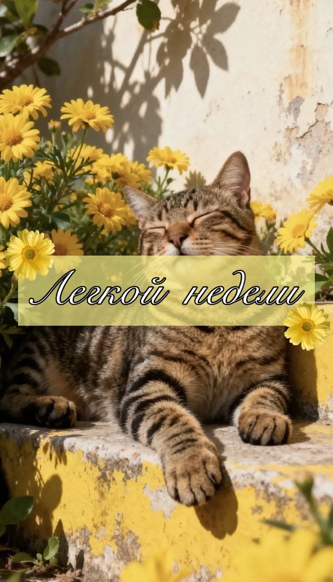 ☀️Летняя сессия на финишной прямой 

Летняя сессия подходит к концу, и впереди остается совсем немно