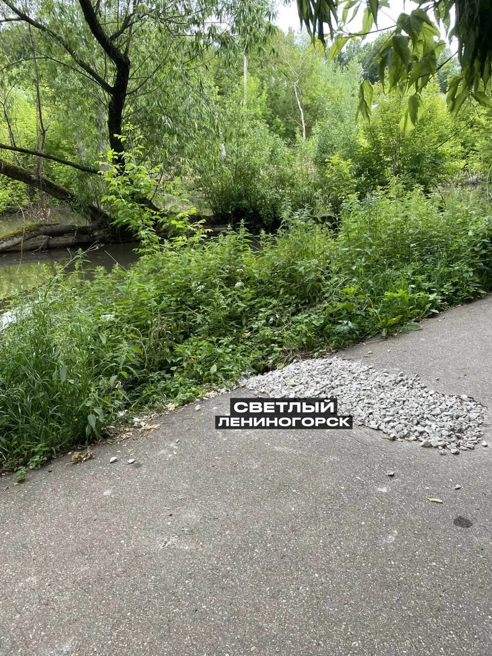 ✅После нашего поста провал в асфальте был устранен

Ранее на аллее лесопарка на набережной был обнар