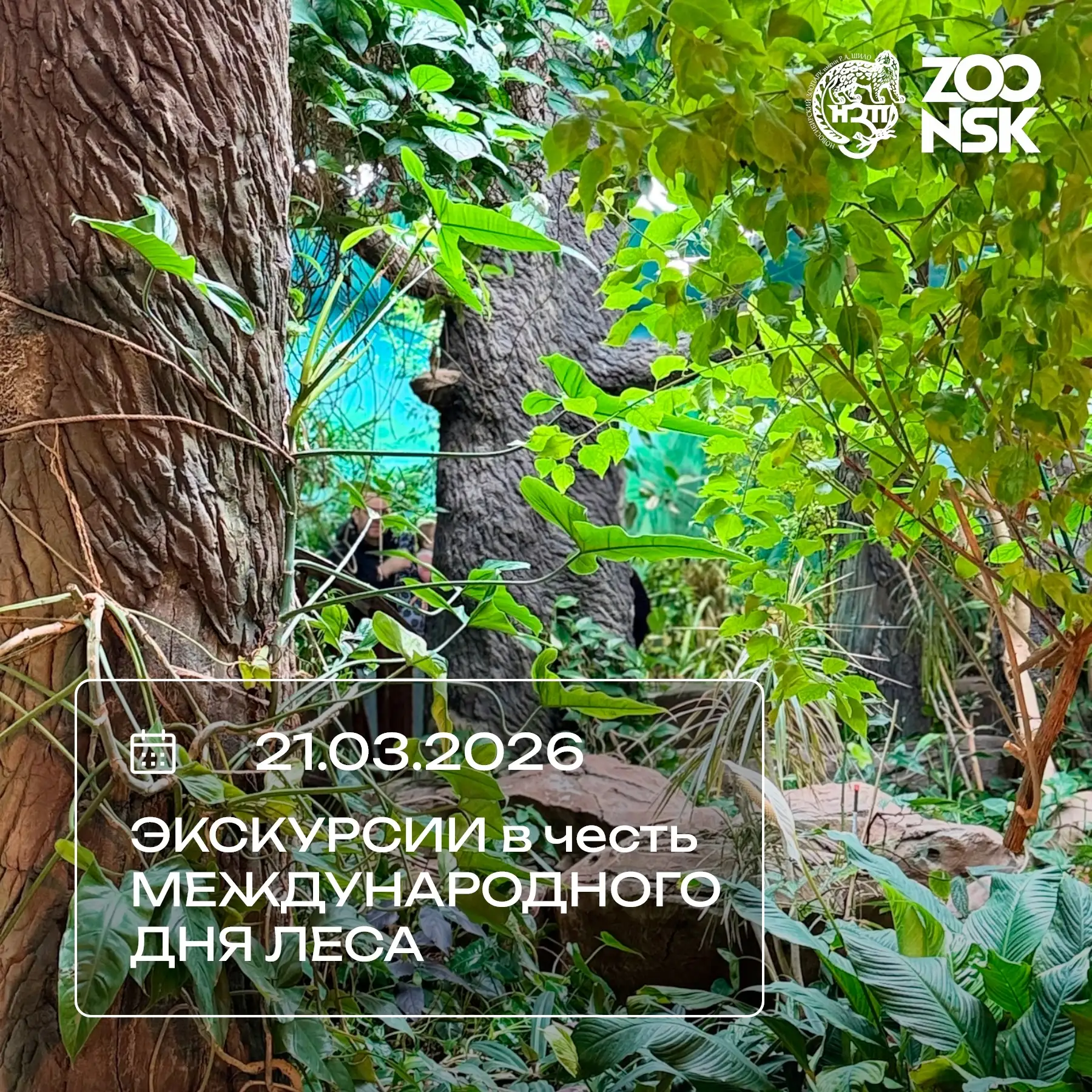 📅 Завтра, 21 марта, мы проведём экскурсии в честь Международного дня леса! Вас ждёт увлекательное зн