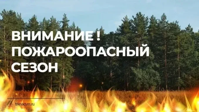 С 15 апреля 2026 года на территории Каменск-Уральского городского округа начал свое дей...