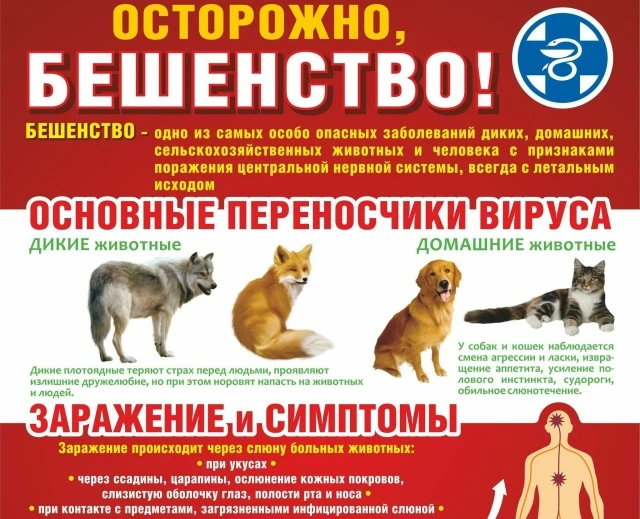 Памятка населению по профилактике бешенства животных.
