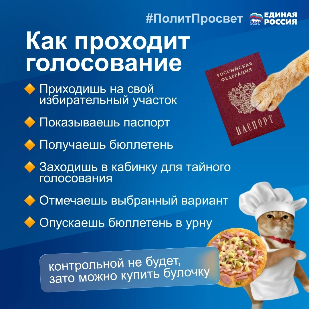 Где проходит голосование?