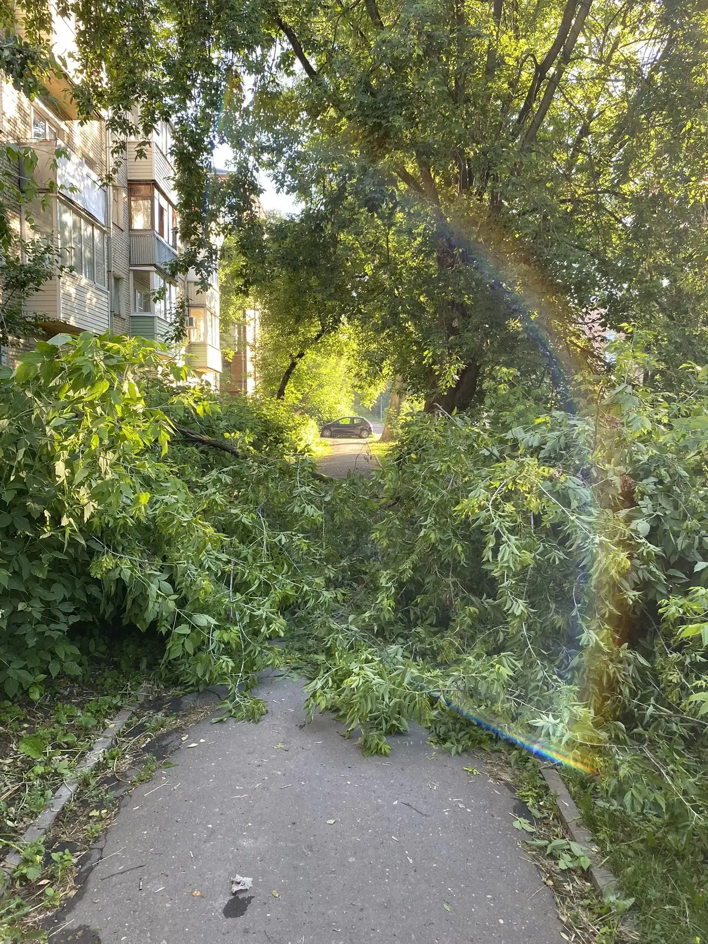 Непогода в Подольске продолжается

Гайдара, д. 5 -упало дерево на провода.

Деревня Пузиково, СНТ "П