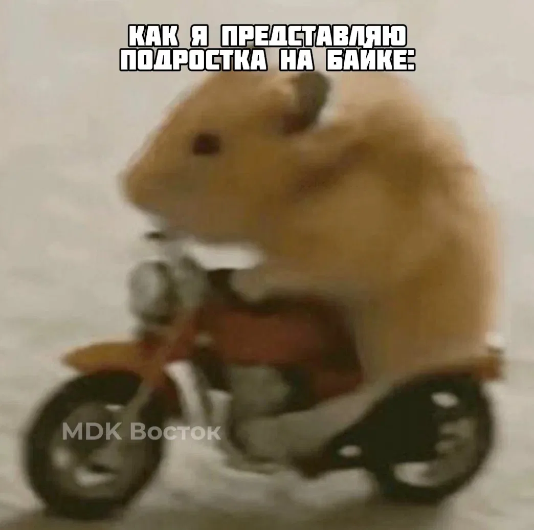 🏍 16-летний байкер без прав устроил погоню с полицией на Камчатке