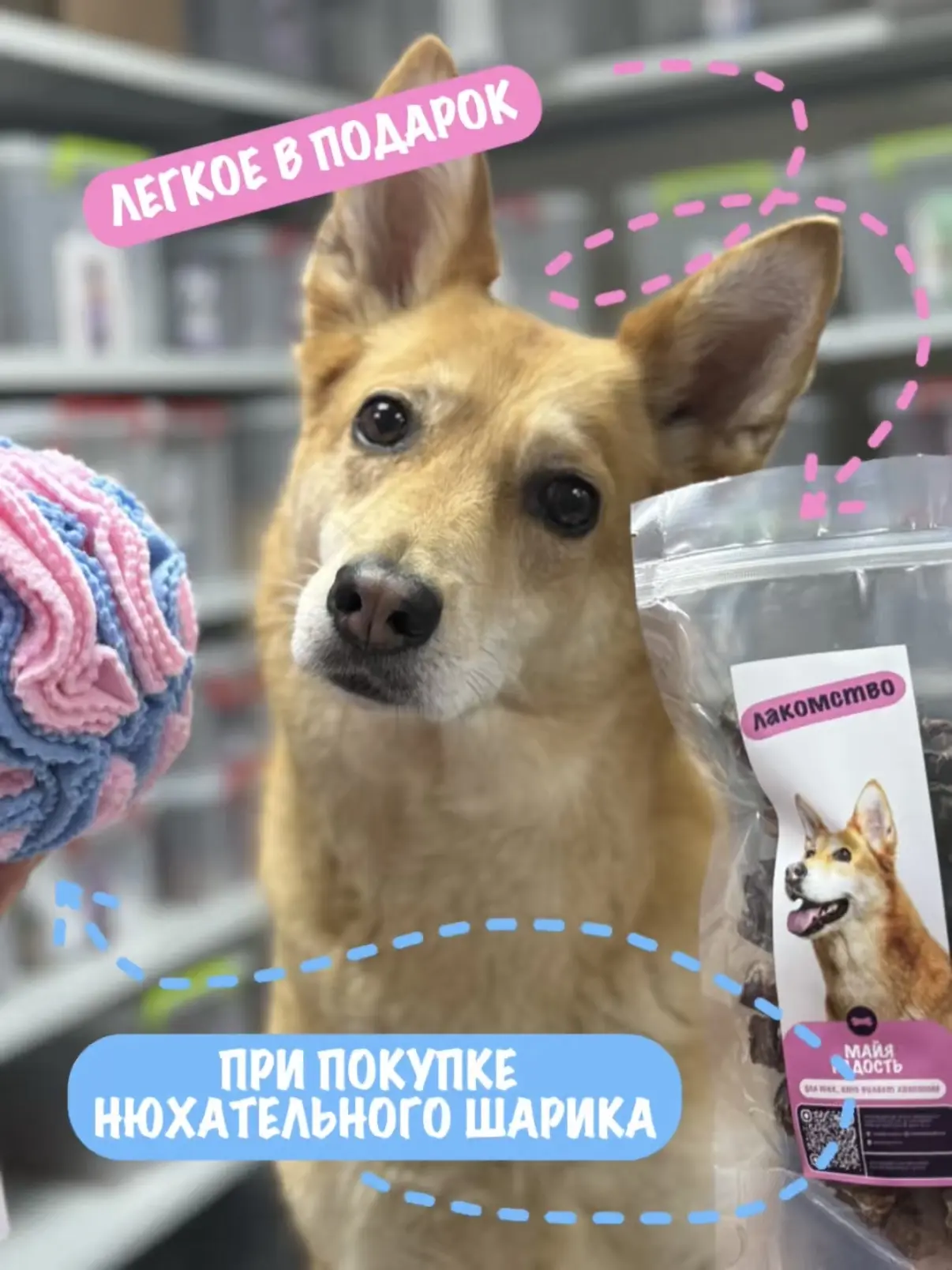 Поэтому, пока едем, рассказываем про полезные плюшечки☺️