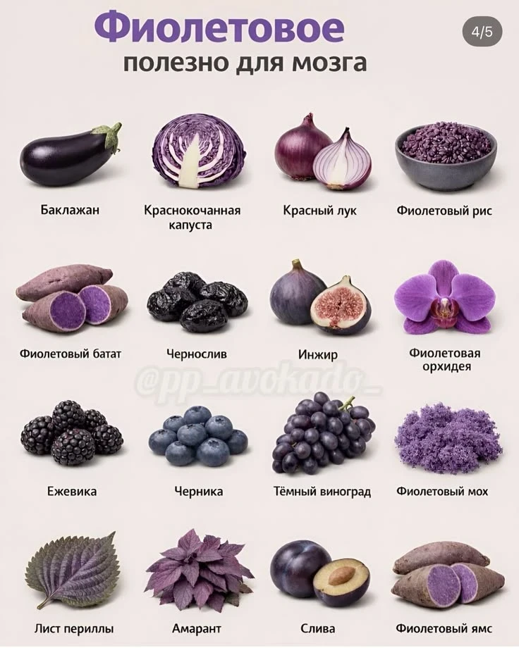 🧠 Фиолетовая палитра для мозга 🍆🥕🌶️