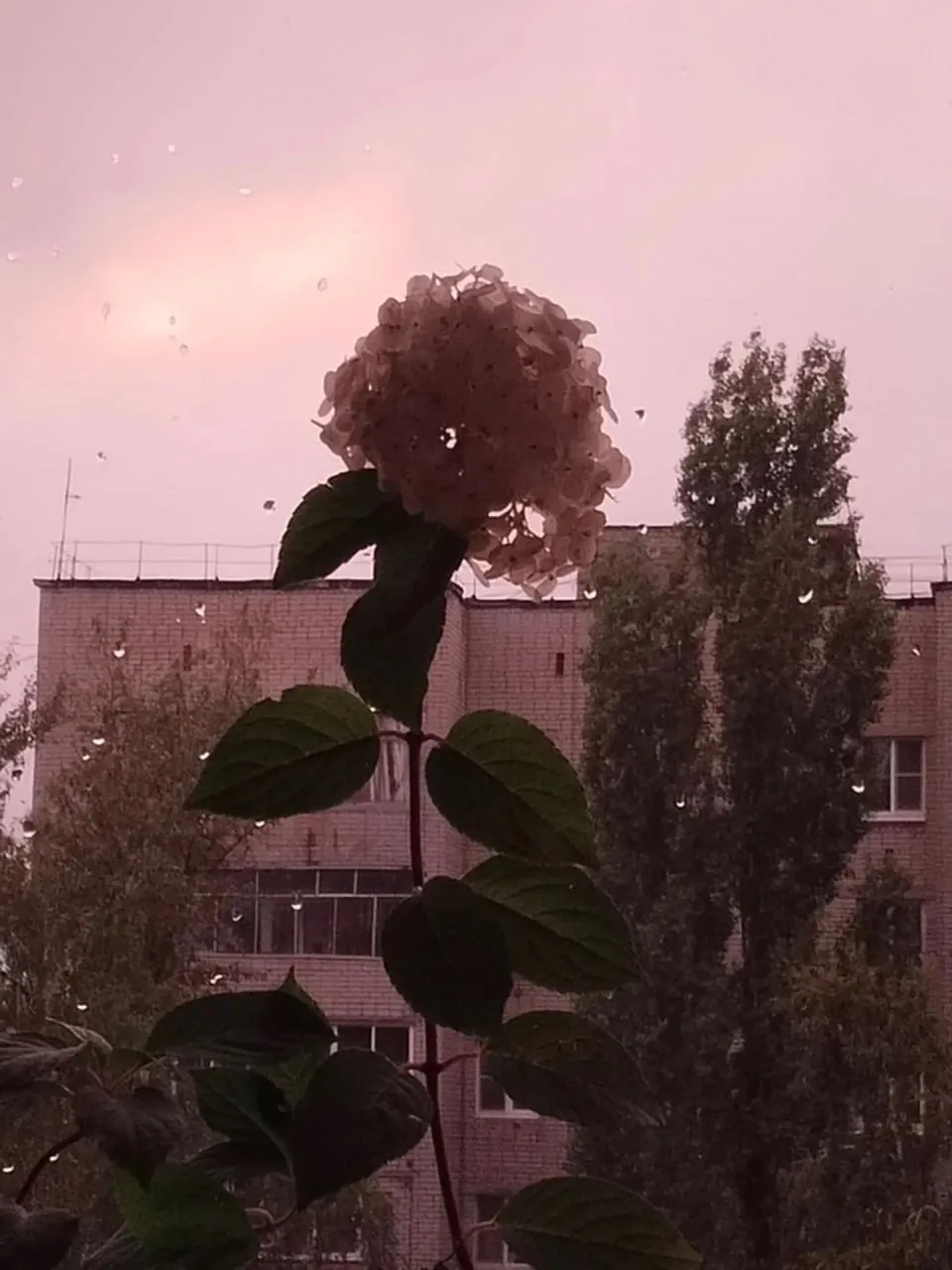 Доброе утро!