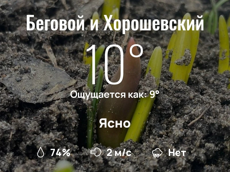 Что с погодой в Беговом и Хорошевском?