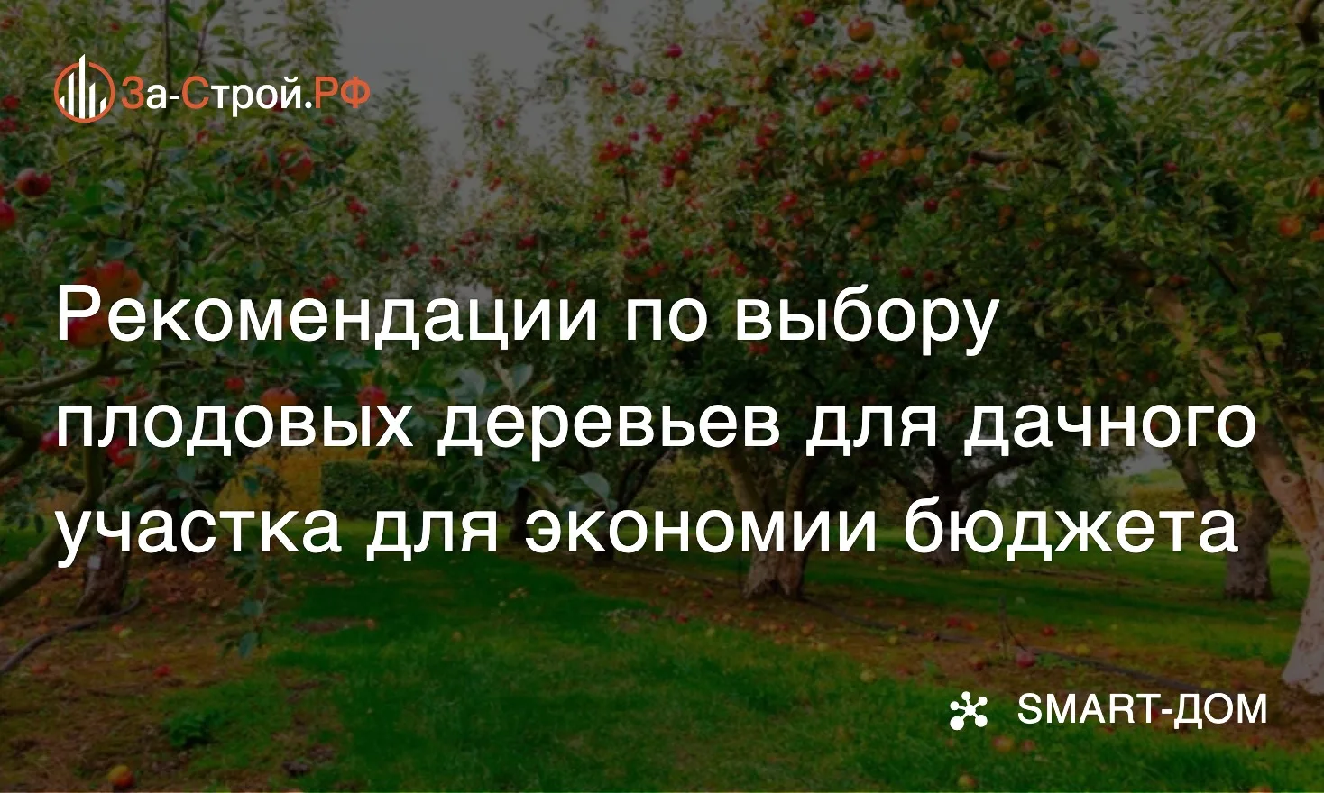 Какие деревья сажать? • Вопрос выбора плодовых деревьев для участка решает не только эс...