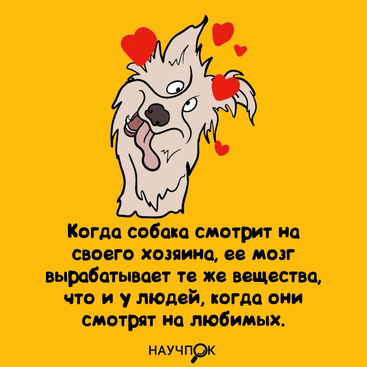 Научпок | Подписаться