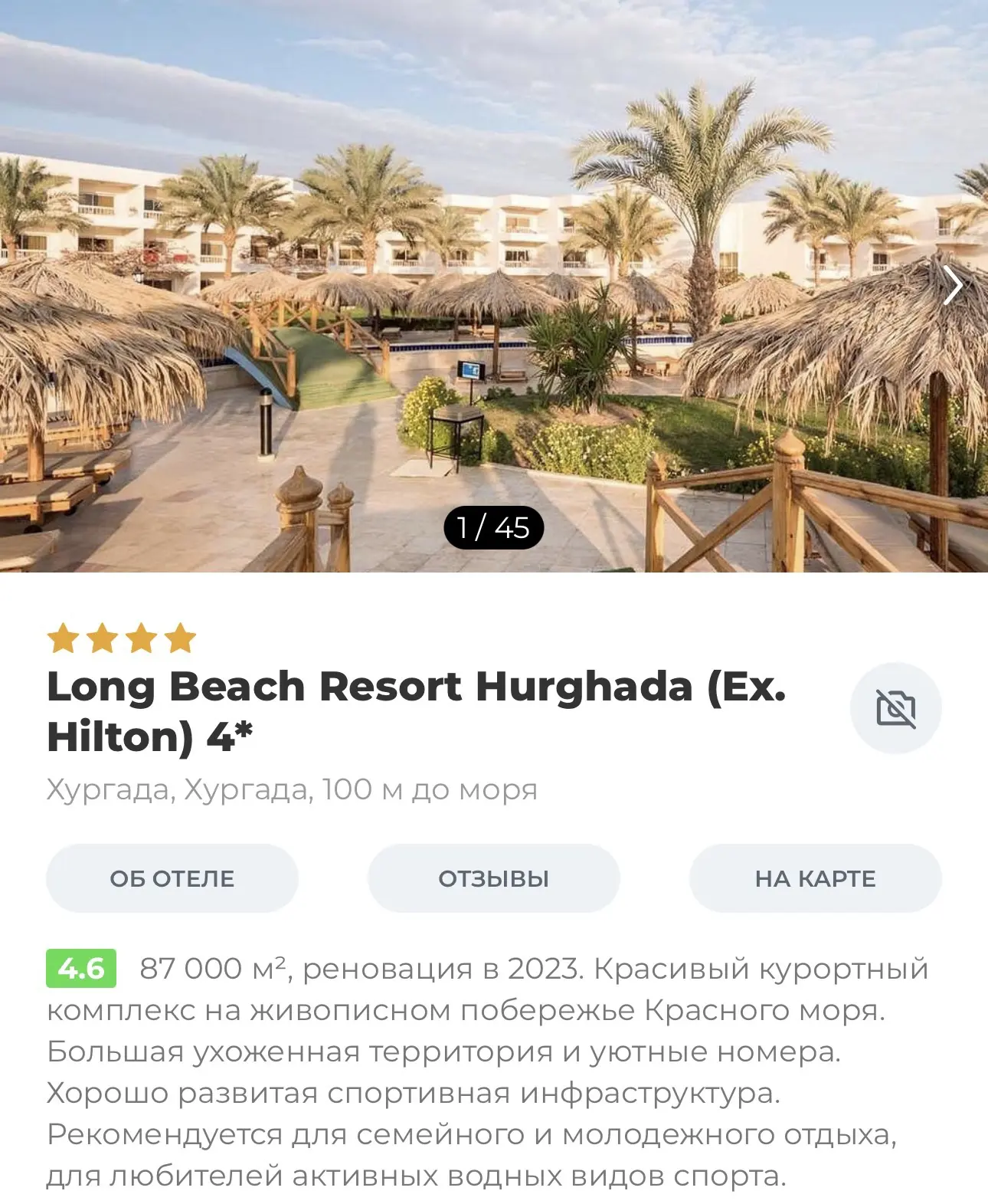 встречаем Новый год в Египте под пальмой🇪🇬