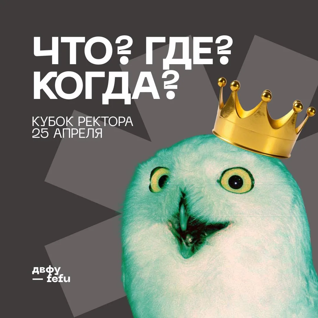 🏆 VI Кубок Ректора ДВФУ — «Что? Где? Когда?»