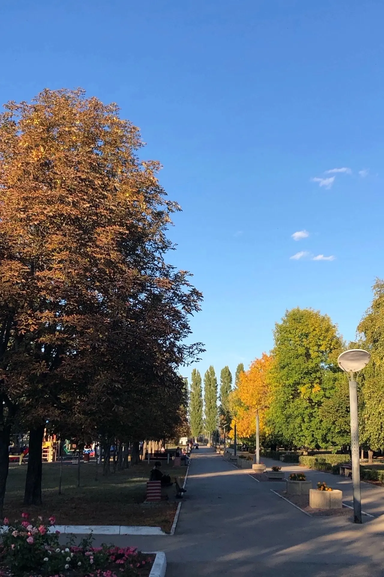 Осенние пейзажи 🍁