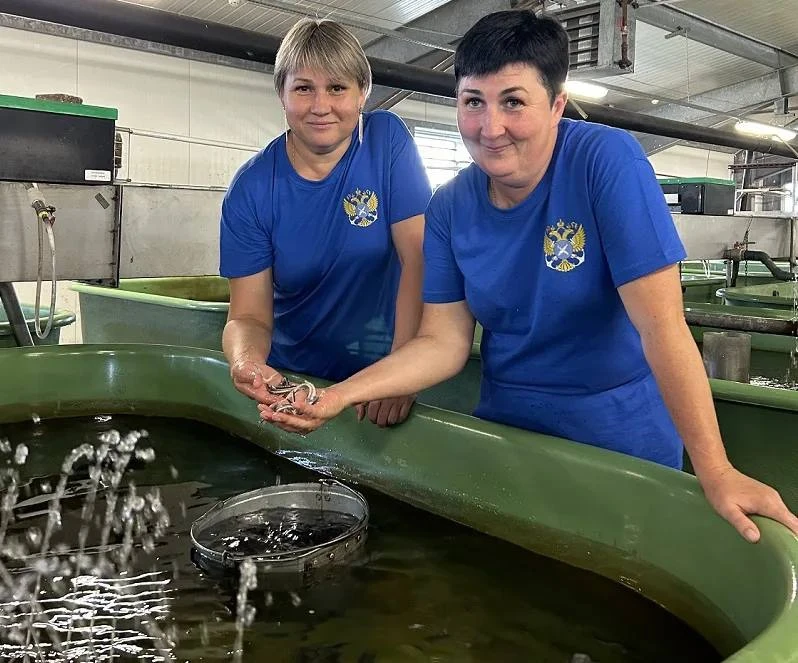 🐟 2 млрд рыб в год. Представьте себе это число.