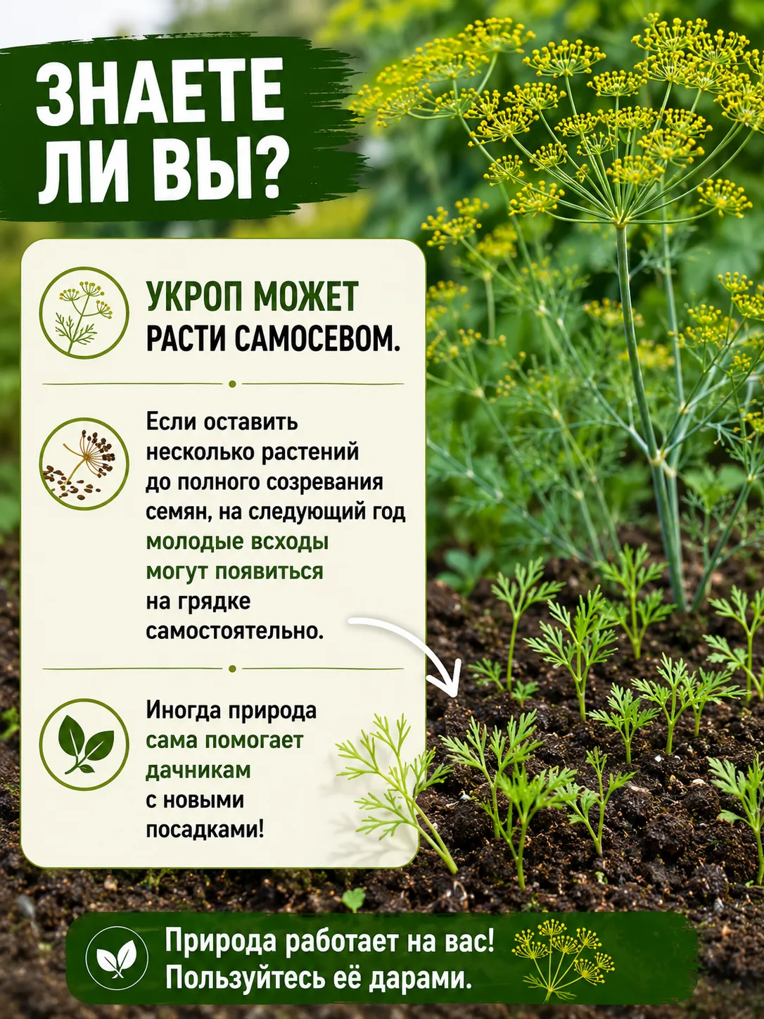 Оставьте любую реакцию 😊 Это лучшая благодарность для меня! ❤️

Мир томатов с Аллой | Подписаться
