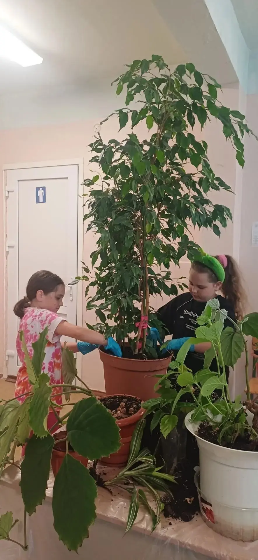 🌿 Цветочная перезагрузка: спасибо нашим помощникам!

В нашей школе продолжается забота о комнатных 