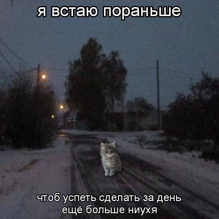 Жиз