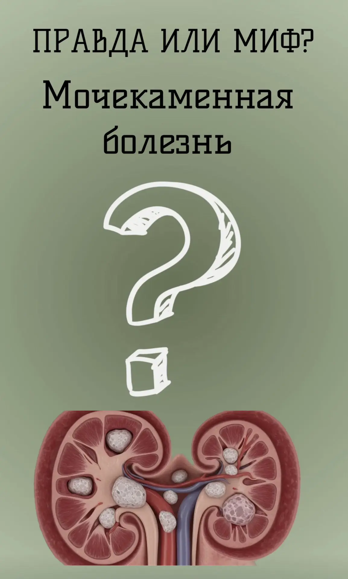 МОЧЕКАМЕННАЯ БОЛЕЗНЬ. ПРАВДА ИЛИ МИФ?

✔️Правда, что если бы в почках был камень, он бы болел
Миф. Н