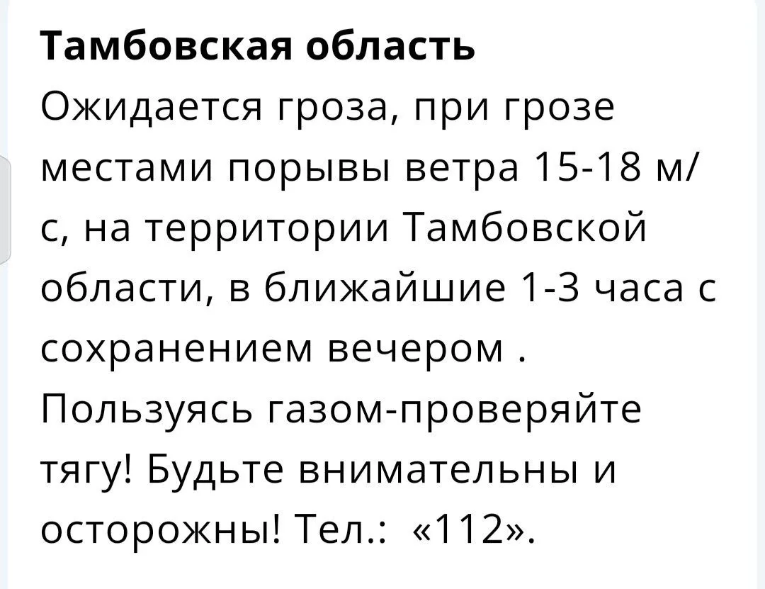 ⛈ На Тамбовщину надвигаются гроза и ветер до 18 м/с