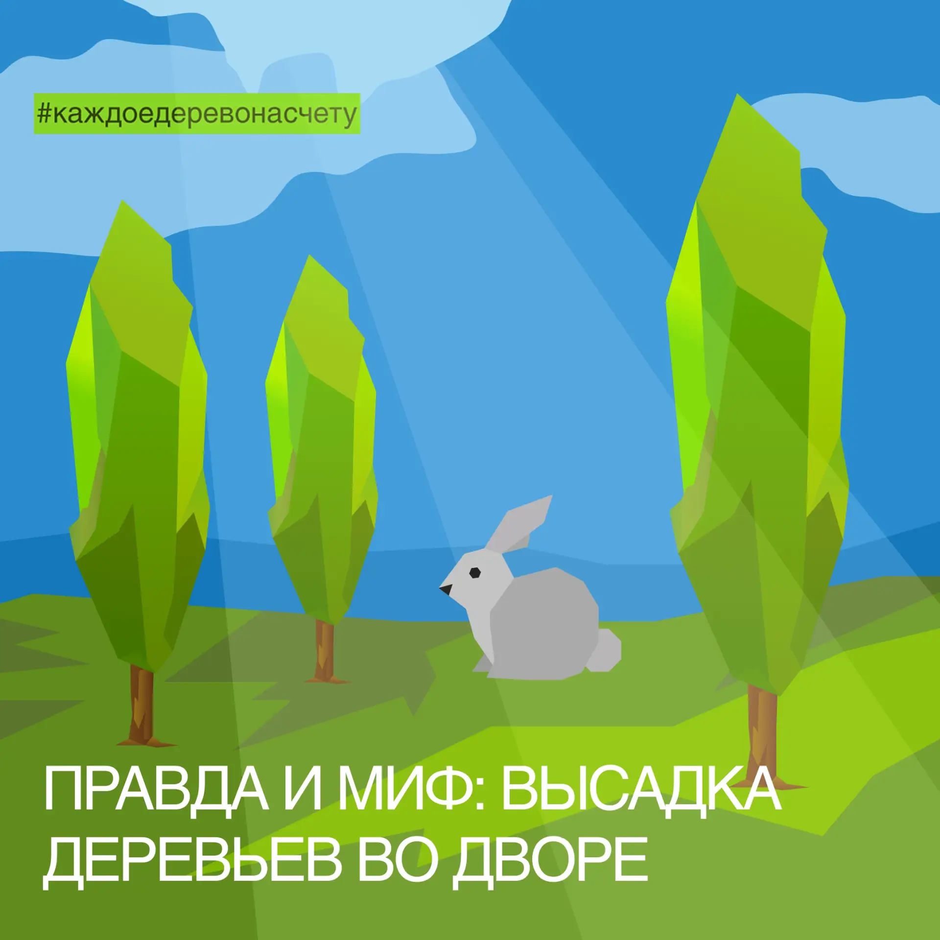 🌳 Вокруг озеленения придомовых территорий ходит много слухов. Кто-то уверен, что доста...