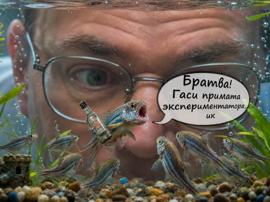 В 2014 году профессор нью-йоркского политеха Маурицио Порфири поставил смелый экспериме...