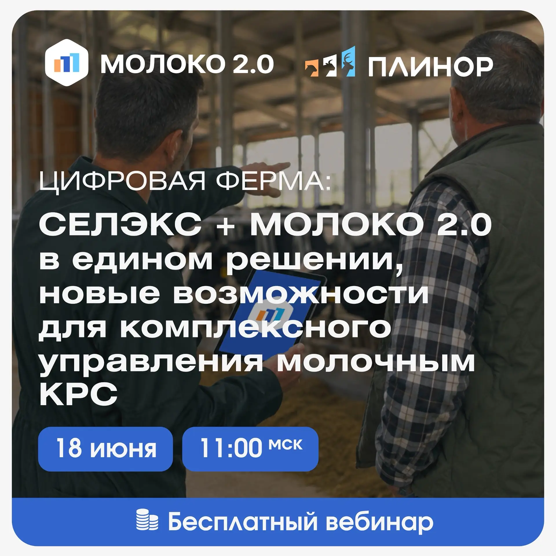 🐄 СЕЛЭКС и МОЛОКО 2.0 — вместе. Что это дает хозяйству на практике?