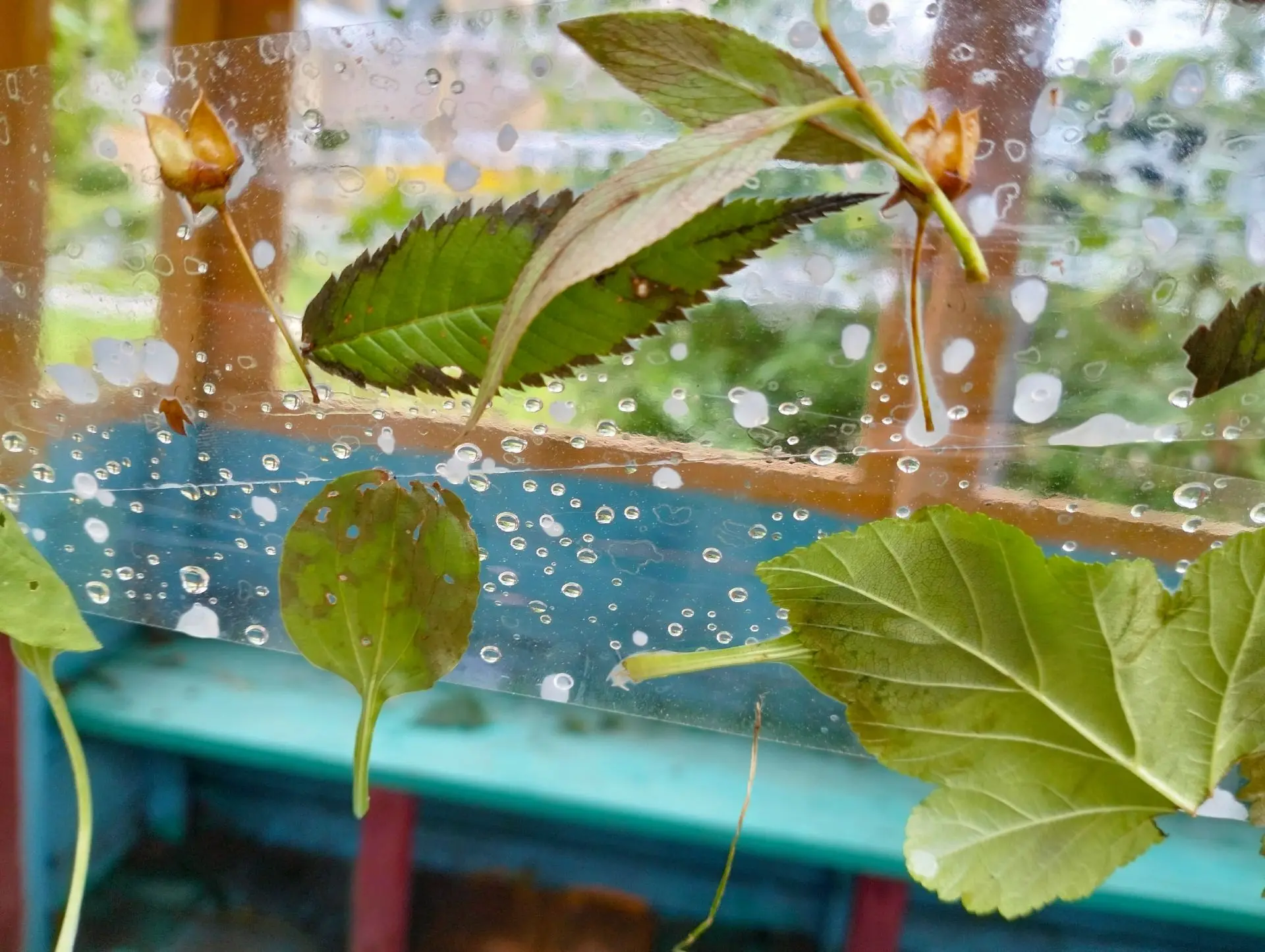 🌦 Дождик тоже стал художником! 🌦