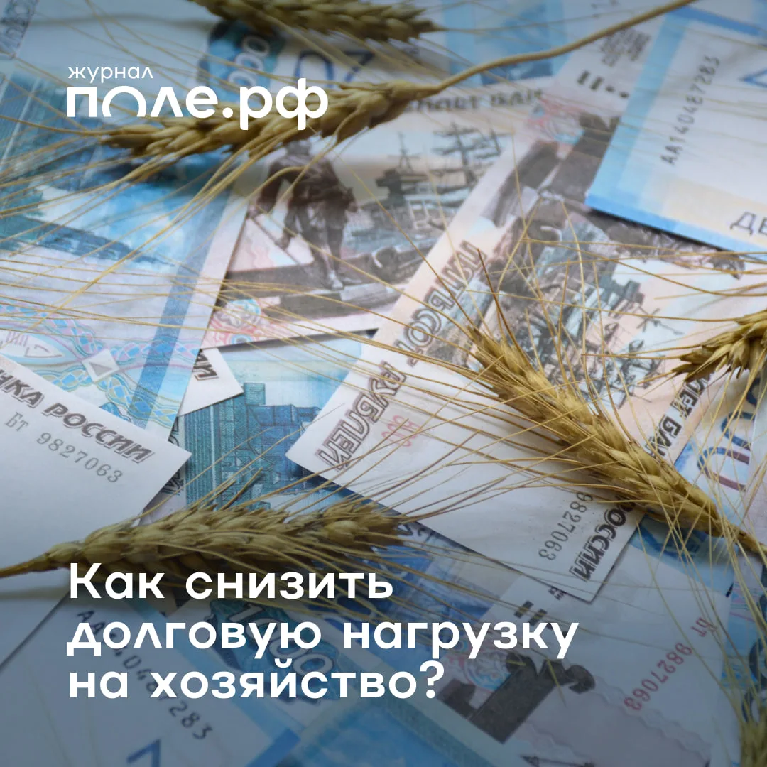 💸Выплаты по кредитам давят на хозяйство, а урожай еще не продан?