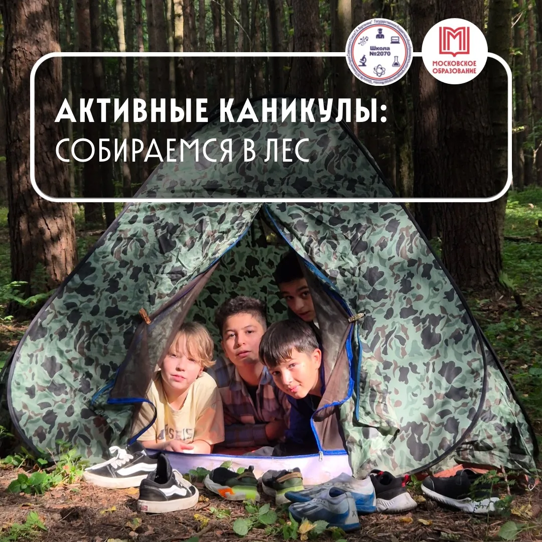 🌲🥾🧭 К ПОХОДУ ГОТОВЫ?

🏞 Лето — лучшее время для прогулок, походов и отдыха на природе. Лес дарит