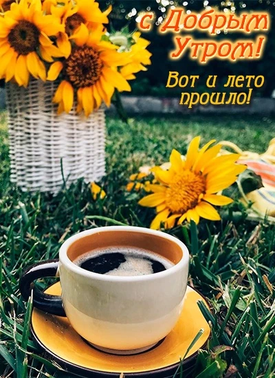 Список качественных каналов в МАХ | Подпишись!❤️