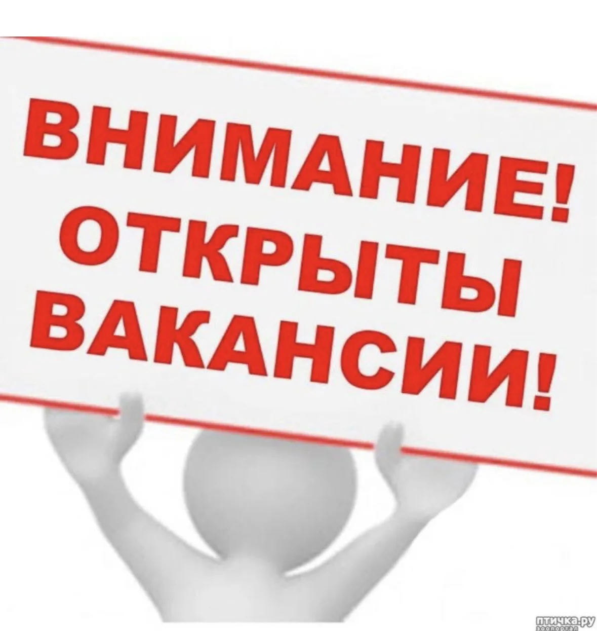 Дорогие друзья! В МАОУ ,,СОШ ,,Иволгино,, открыты следующие вакансии: педагог -психолог...