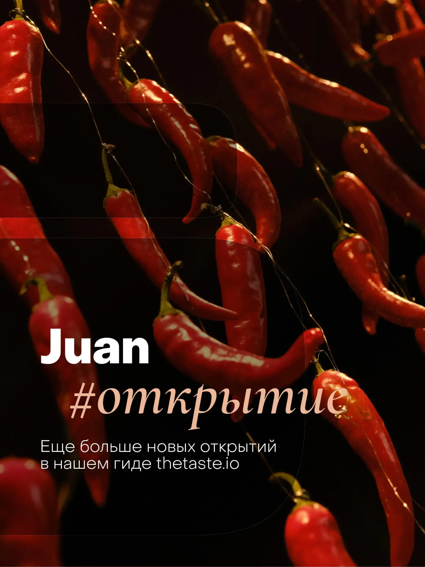#открытия Ура! Мой любимчик и явный претендент на попадание в наш гид петербургский Jua...