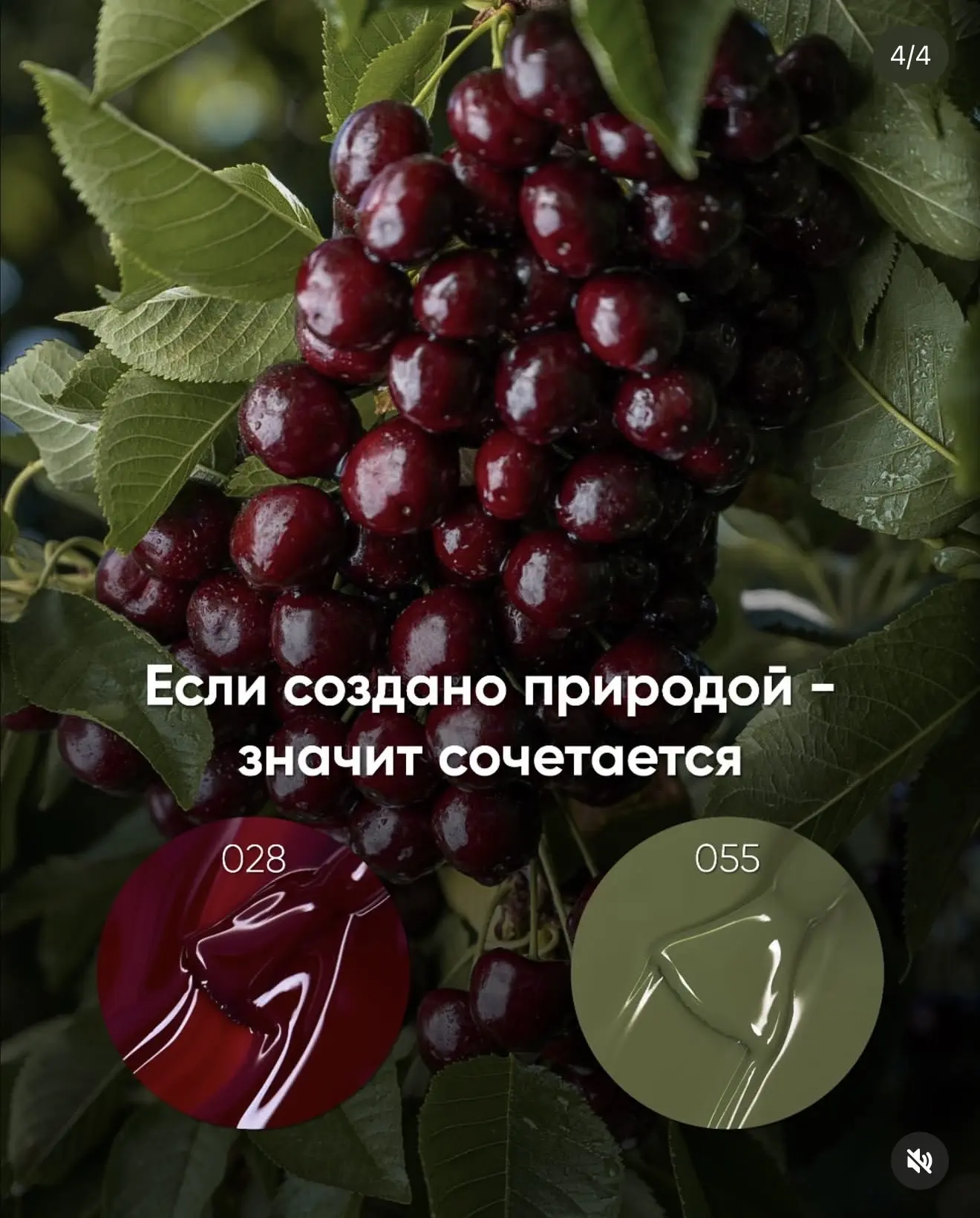 ‼️НОВАЯ КОЛЛЕКЦИЯ ‼️