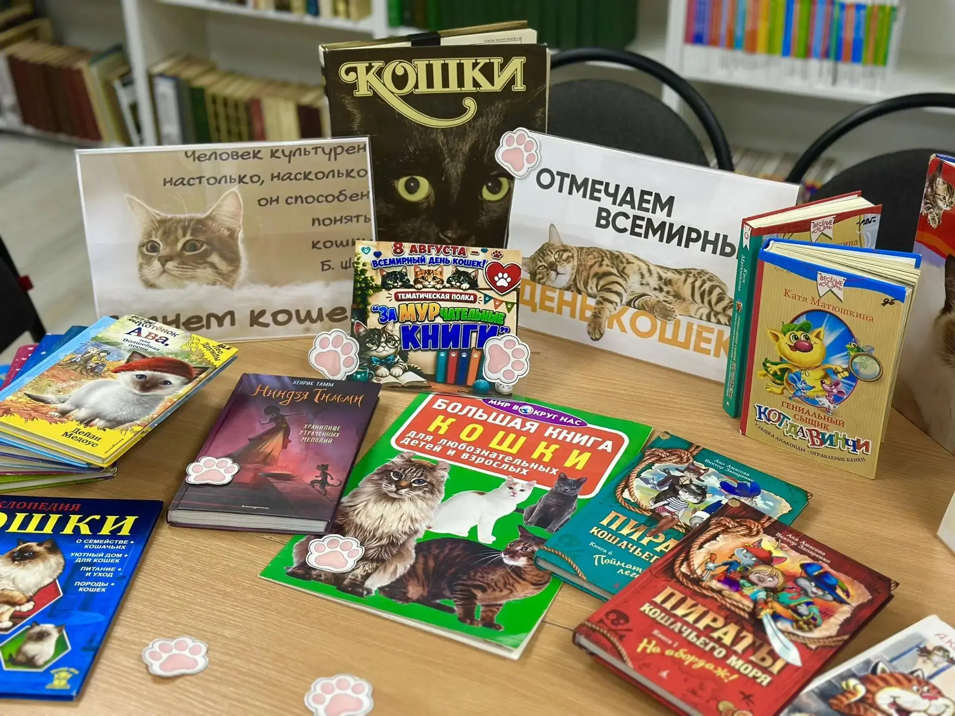 🐾 8 августа весь мир отмечал Всемирный день кошек! Этот тёплый праздник появился в 200...