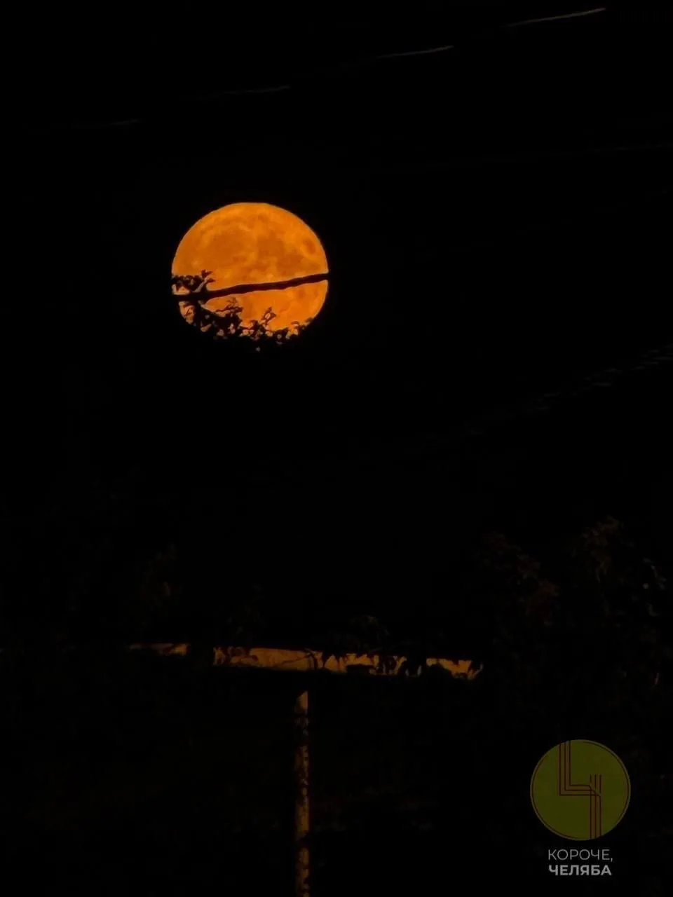 🌕 «Оленью луну» смогут увидеть челябинцы в последние дни июля.

29 июля в 17:36 по мск наступит июл