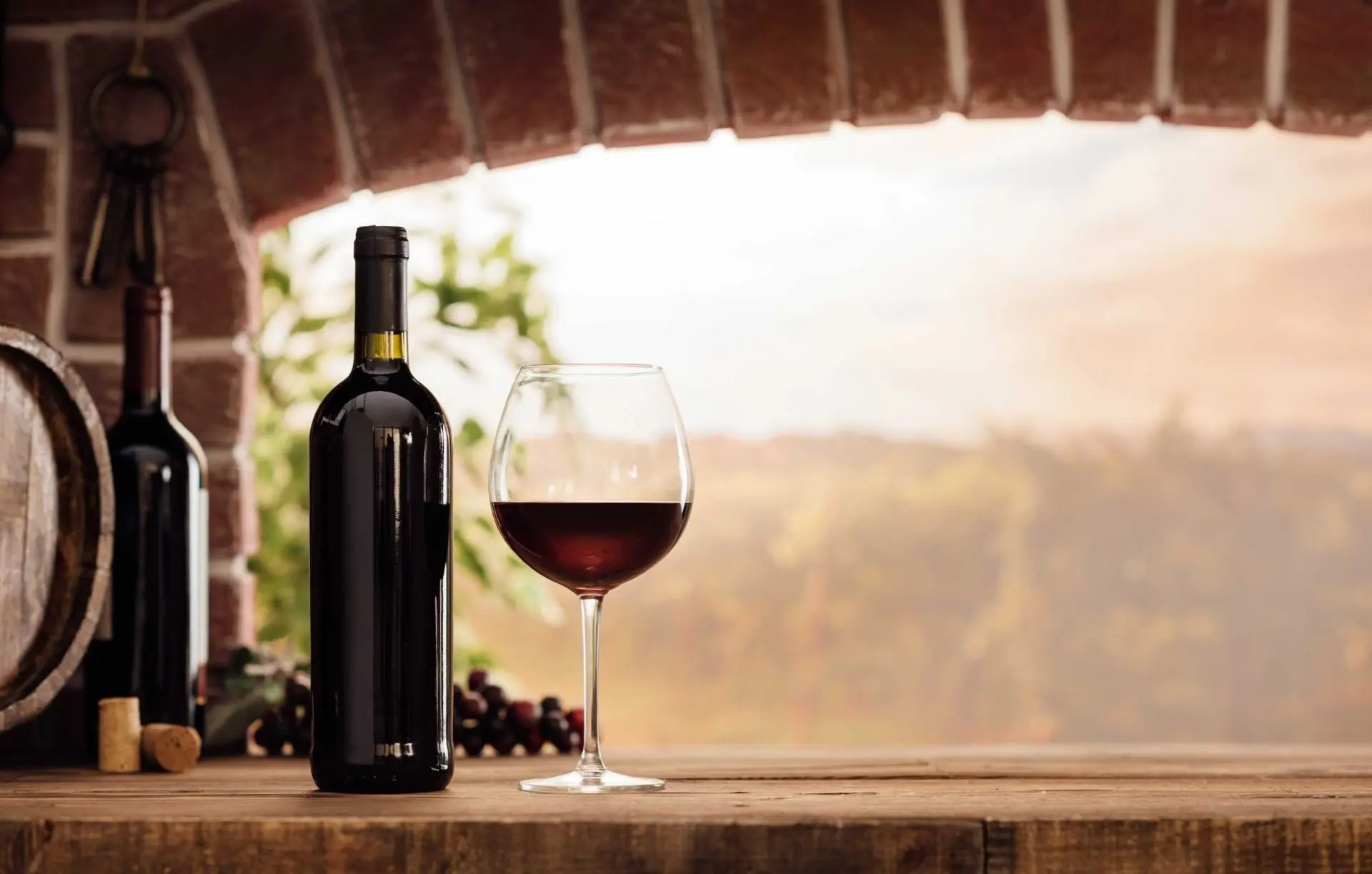 🍷🍇 Разбор винных бутылок: Зачем вино имеет объем 0,75 л? 🍇🍷