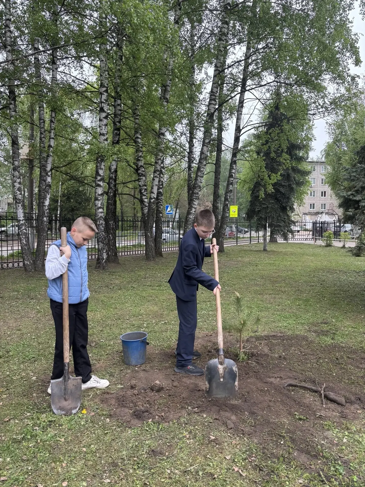 🌱 Зелёная весна в нашей гимназии — не просто слова, а реальные дела! 🌱    Ура! Мы не сидели сложа ру