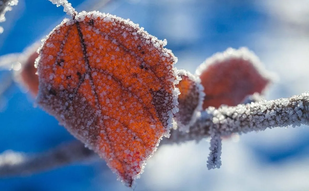 🥶 В Кисловодске термометр ушёл в минус