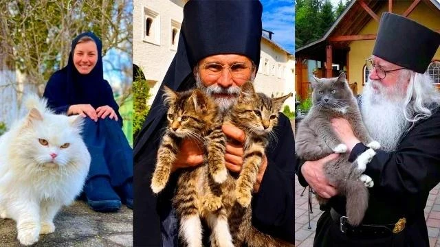 Пять русских старцев, которые очень любили котов.