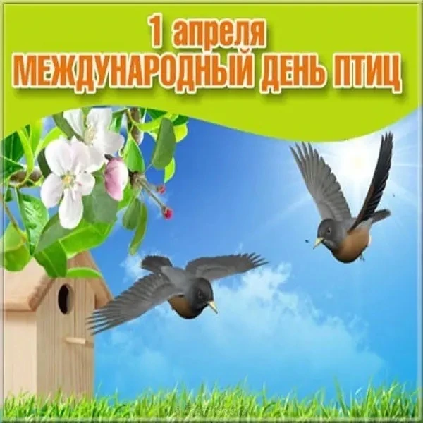 Международный день птиц.   Ежегодно 1 апреля отмечается экологический праздник-День птиц. Этот день 